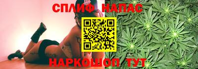 СК Донской