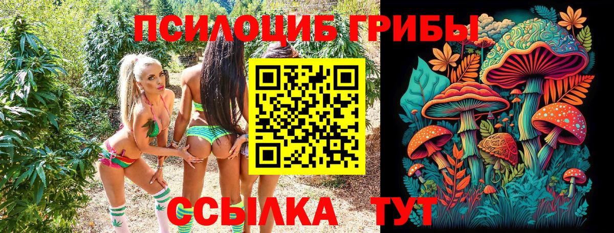 Галлюциногенные грибы мухоморы  Вход с VPN  Майский  Псилоцибиновые грибы мицелий 